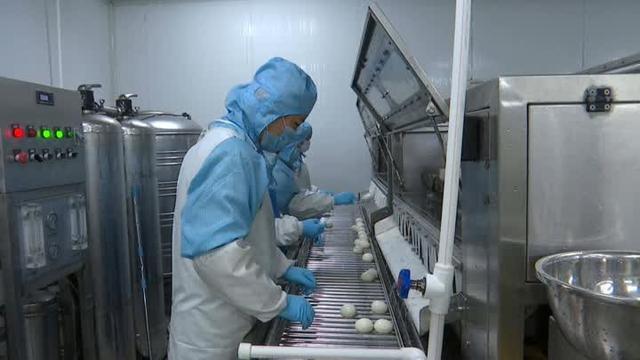 海门农业龙头企全面复工复产，防疫消毒护航农业生产