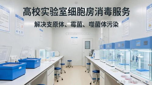 北上广深高校科研院所生命科学实验室开荒消毒服务指南